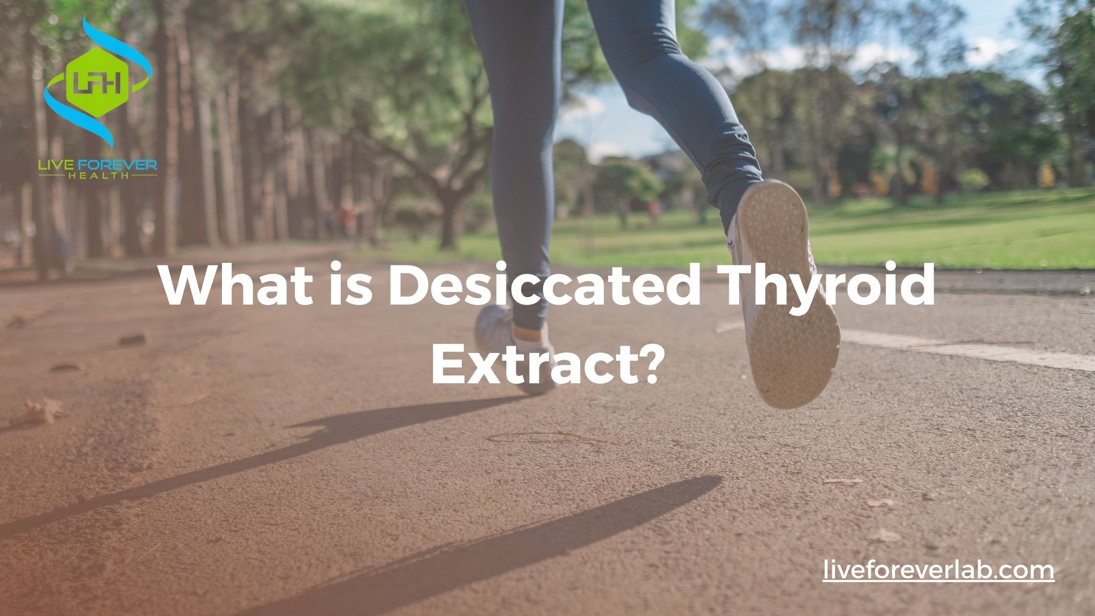 What is Desiccated Thyroid Extract