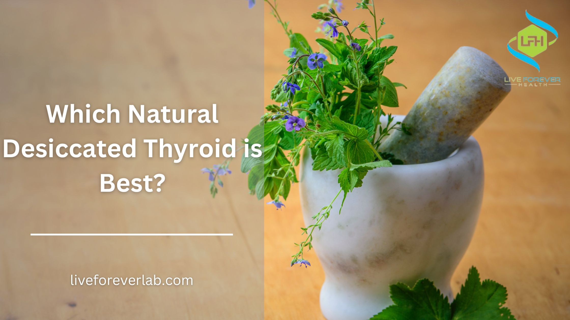 which natural desiccated thyroid is best